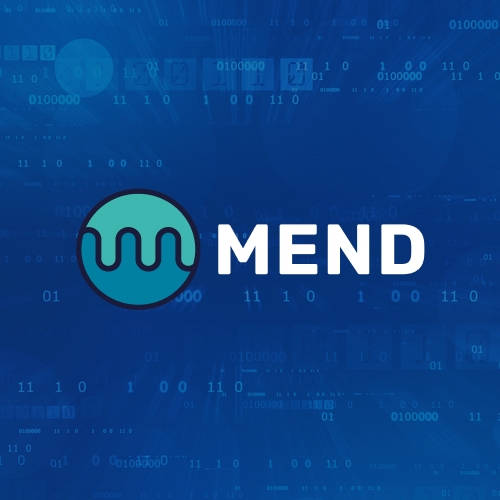 Mend project