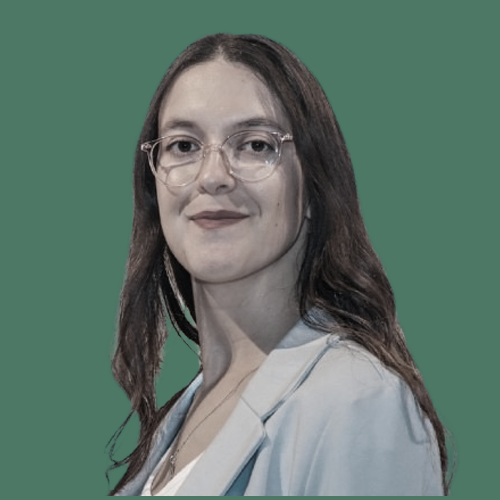 Idan - Projects/Product Manager